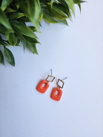 Coral Dream