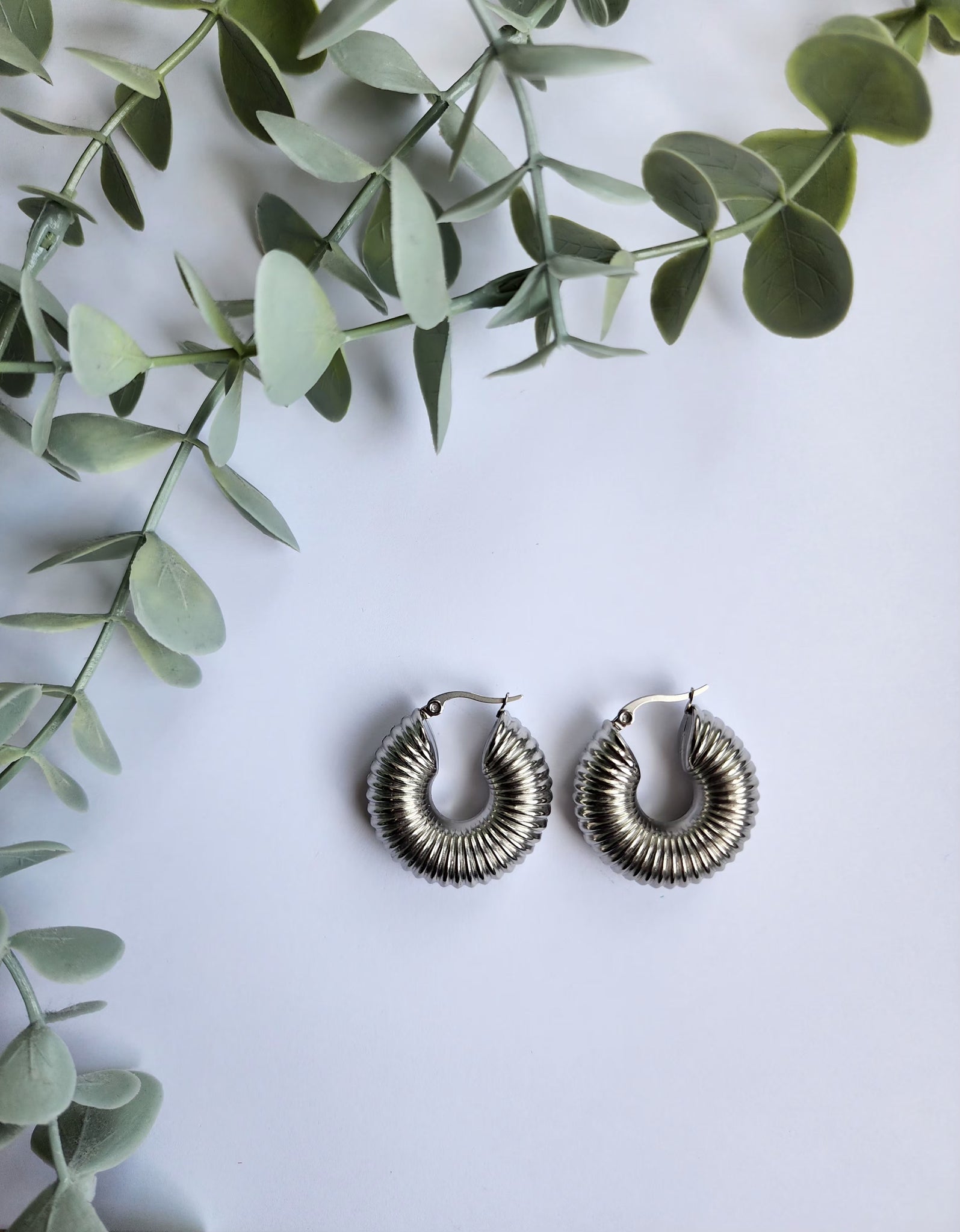Silver Hoops